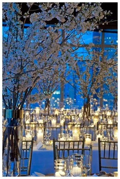 Blossom trees lit in blue above candlelit tables