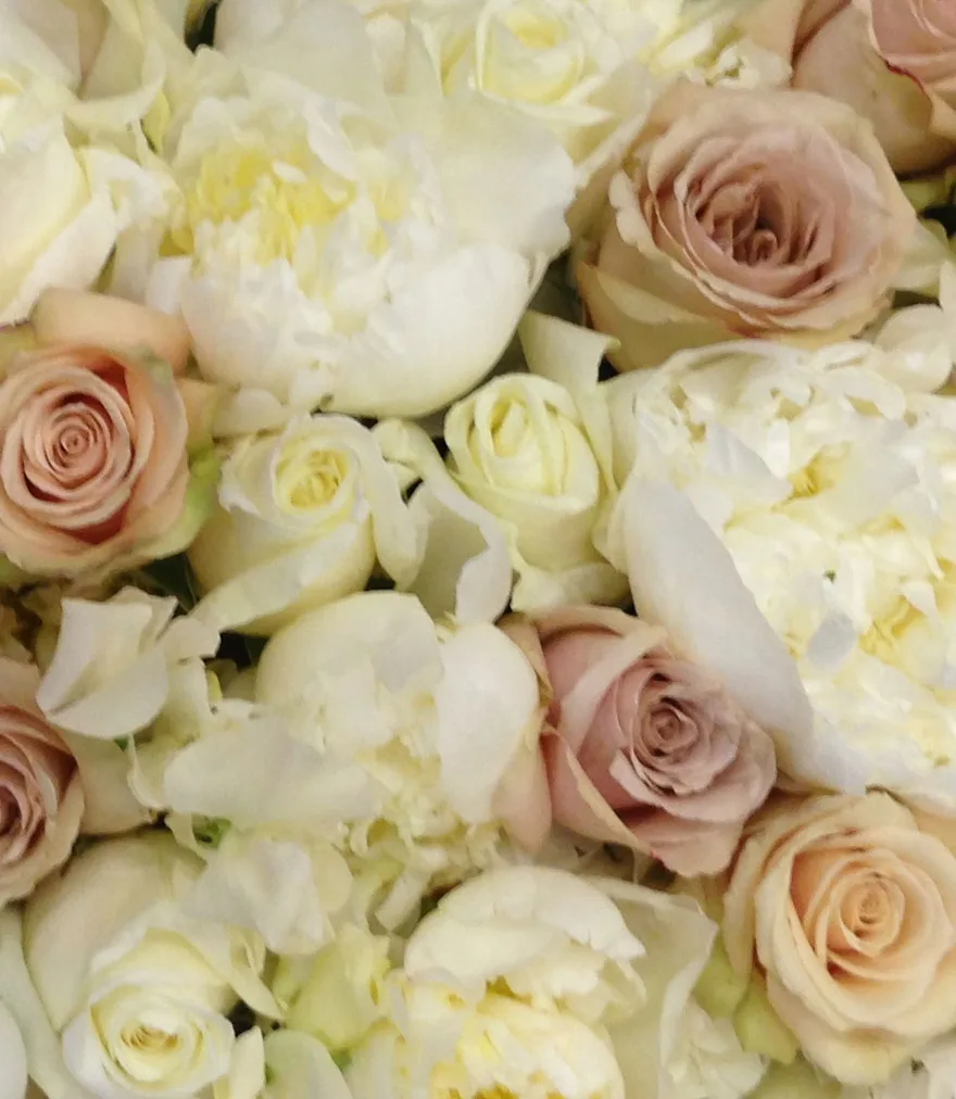 A bed of cream peonies and dusky pink roses