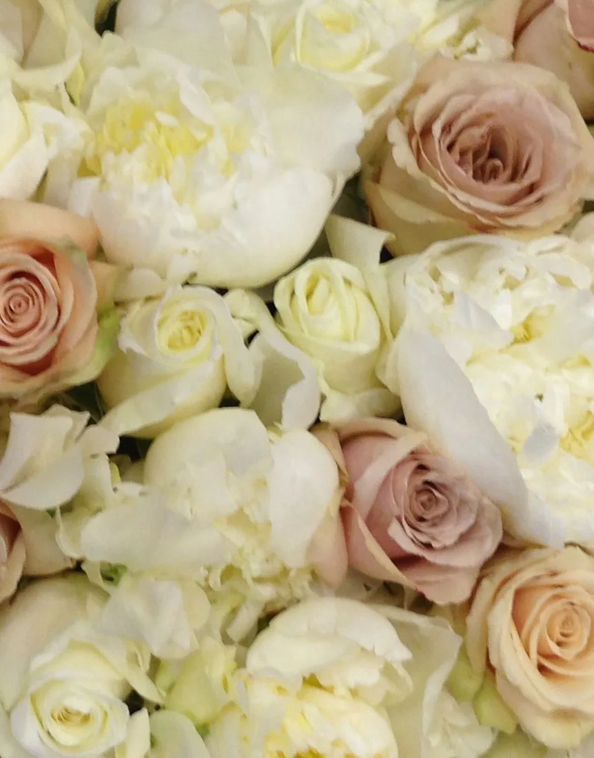 A bed of cream peonies and dusky pink roses