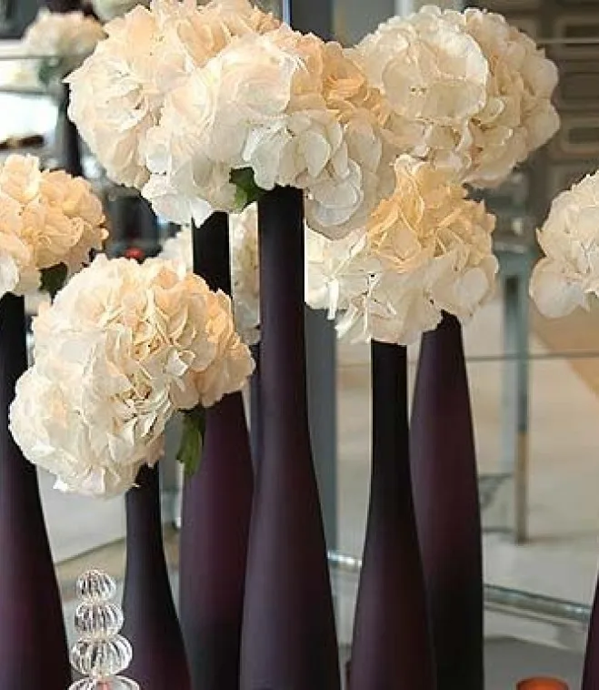 White hydrangeas in tall aubergine glass vases