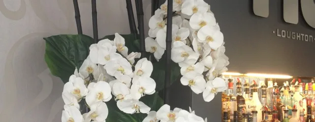 White orchids arranged on a bar