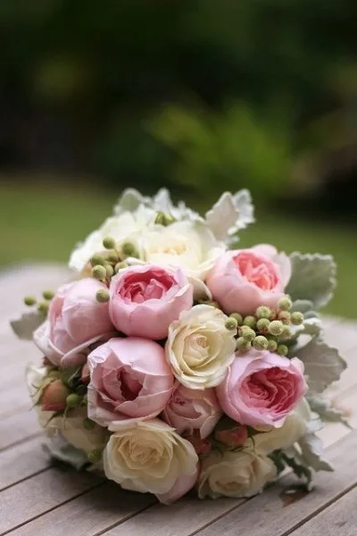 A posy of garden roses in pink and cream