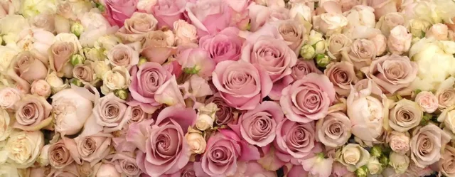 A wall of pink roses and peonies